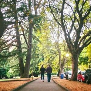 Meet your Posher, Betsy